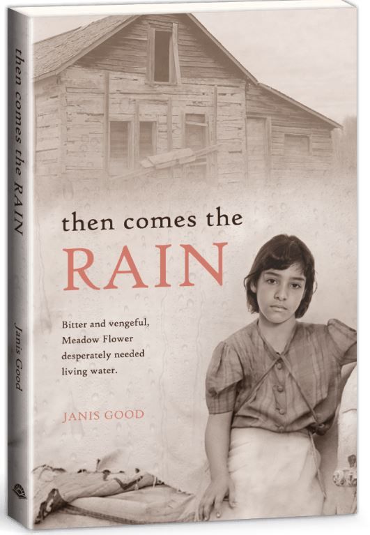 Image of Then Comes the Rain