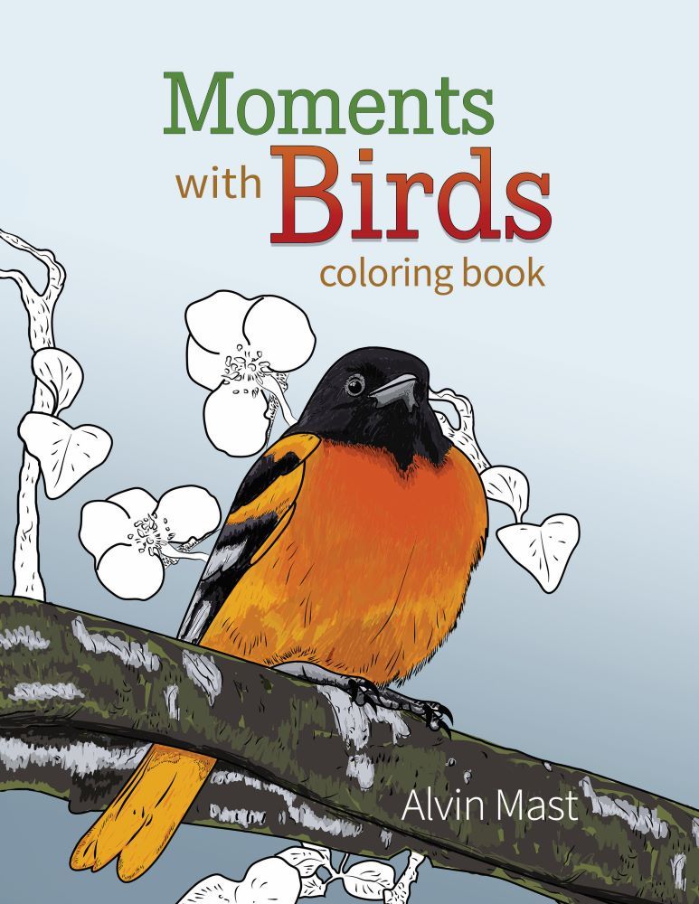 Image of Moments with Birds Coloring Book