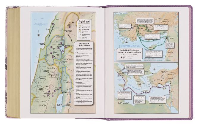 Product 206-0840 - View 6 206-0840 Product Image 6