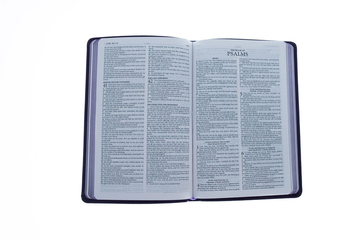 Product 206-0863 - View 4 206-0863 Product Image 4