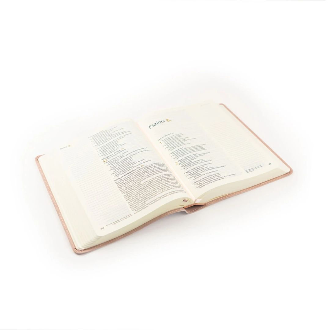 206-1205 Product Image 6