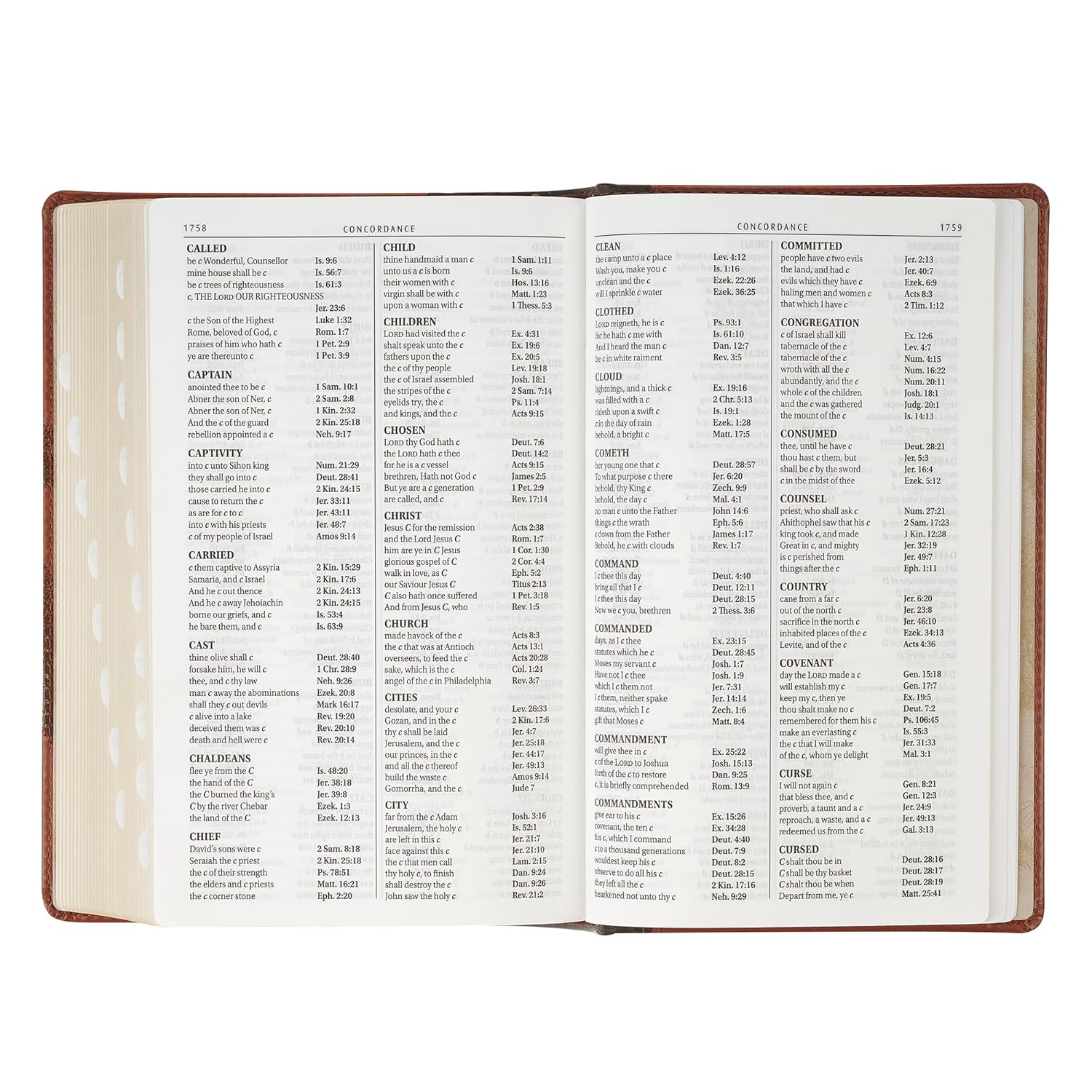 206-1237 Product Image 6