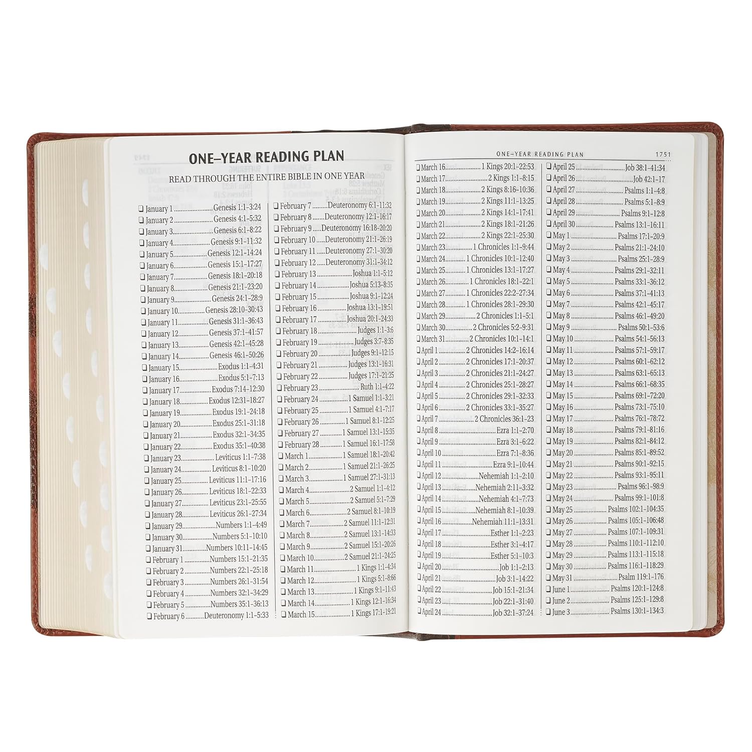 206-1237 Product Image 7