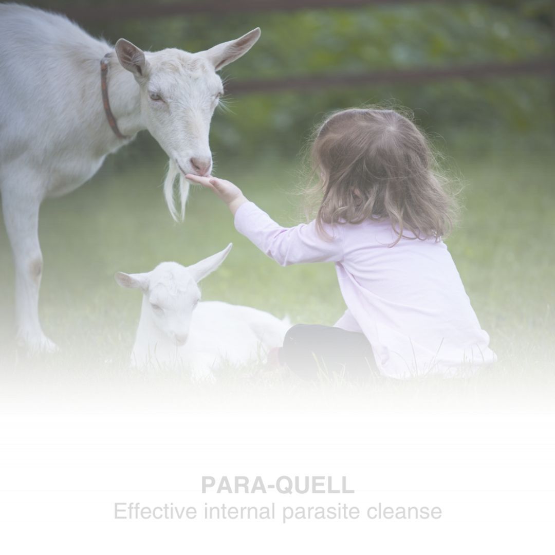 440-1004 Product Image 3