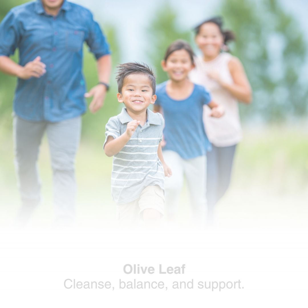 Product 440-1019 - View 2 440-1019 Product Image 2