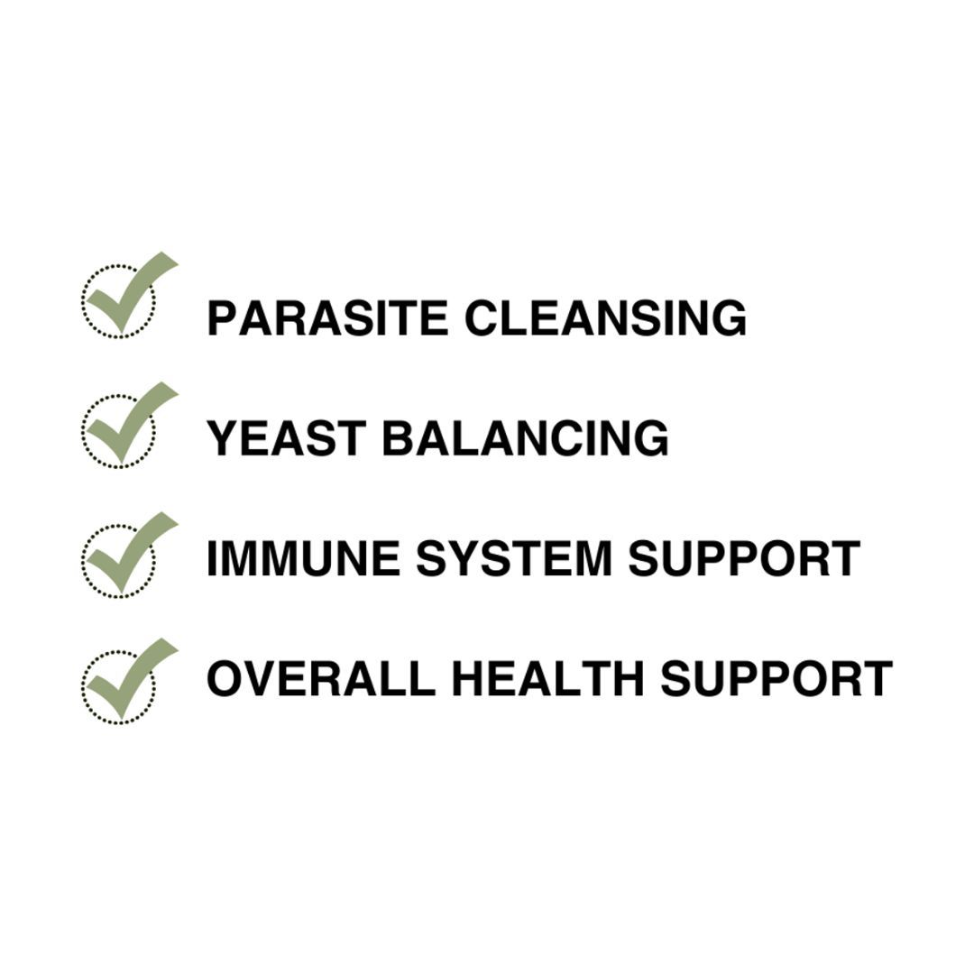 Product 440-1019 - View 3 440-1019 Product Image 3