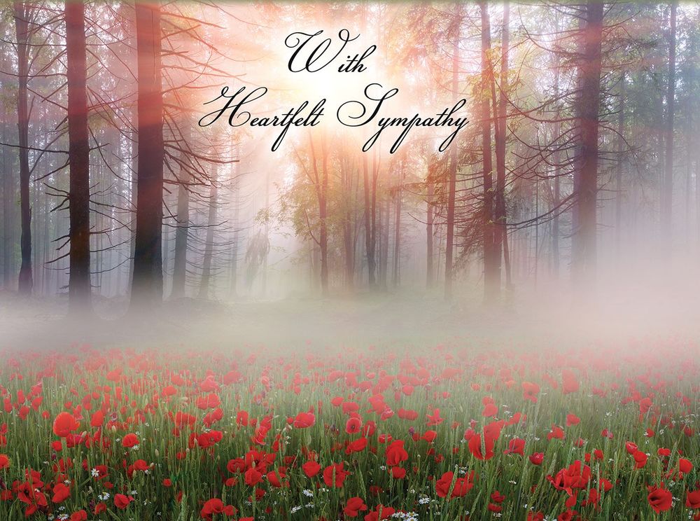 540-0104 Product Image 2