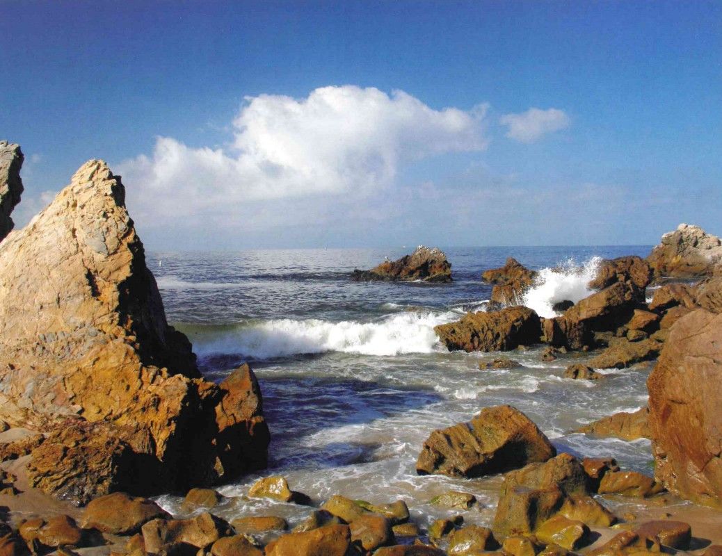 555-0109 Product Image 1