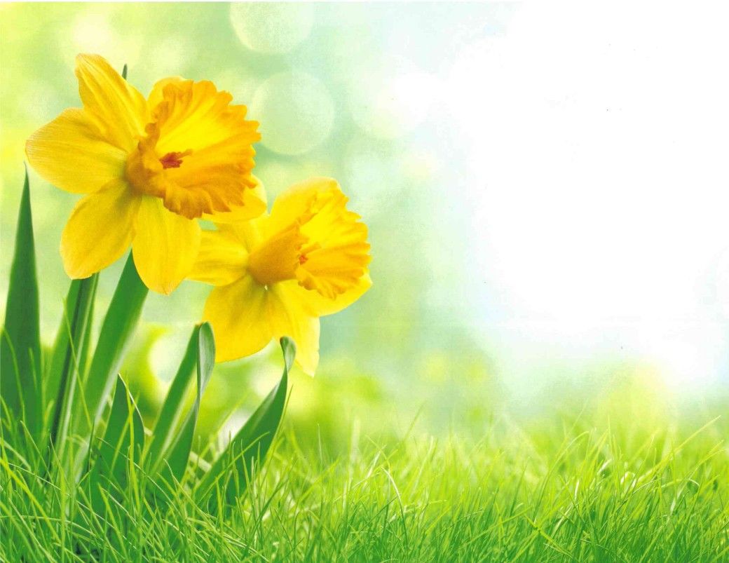 Product 555-0112 - View 1 555-0112 Product Image 1