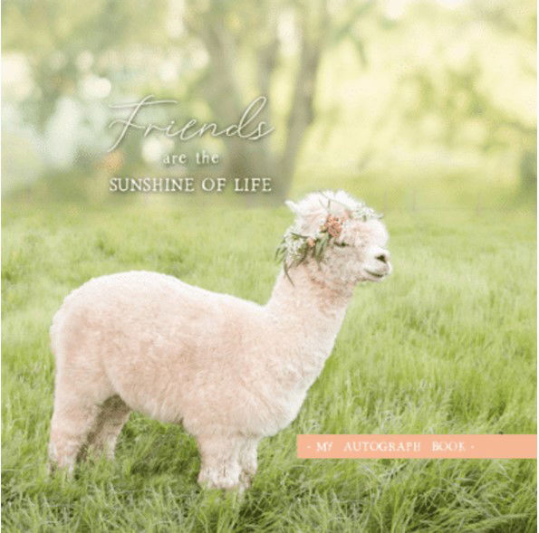 Product 615-1121 - View 1 615-1121 Product Image 1