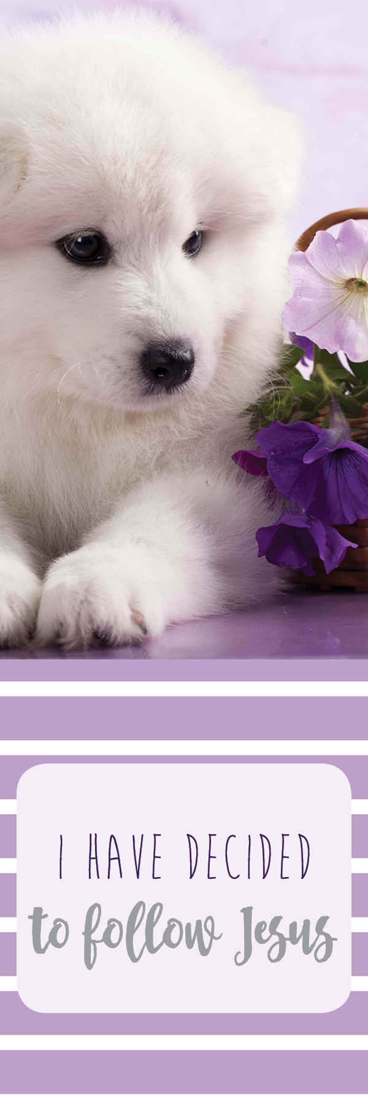 Image of Bookmark: Decided