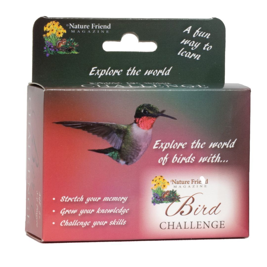 650-0221 Product Image 1