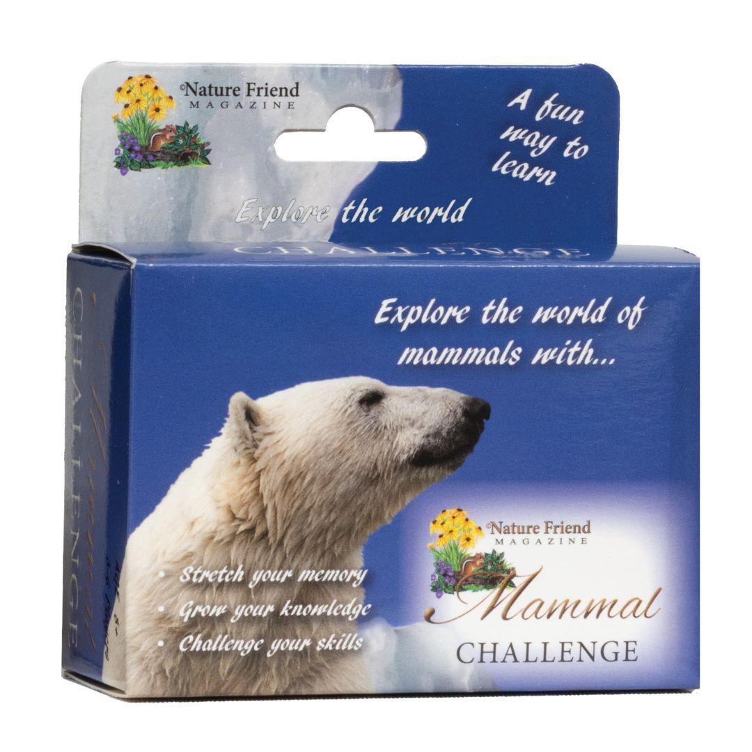 650-0224 Product Image 1