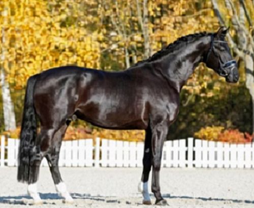 662-0039 Product Image 5