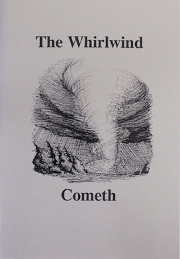The Whirlwind Cometh - Image 2