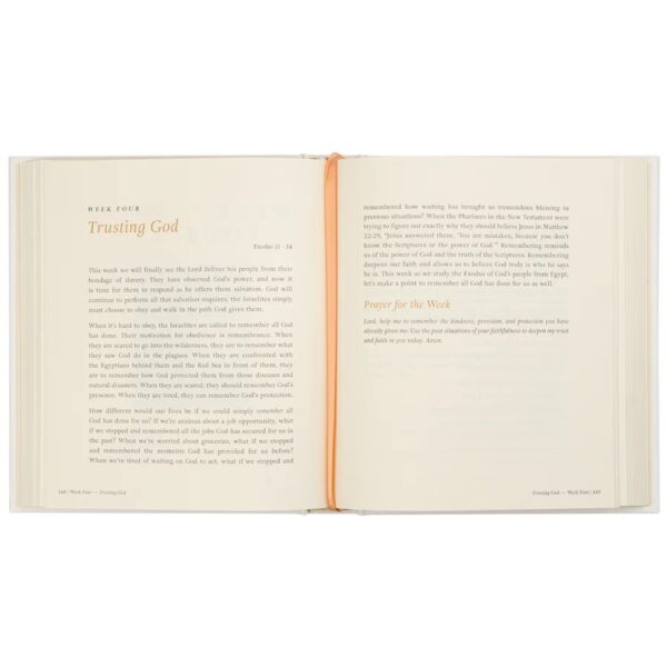 Beyond Egypt - 7 wk Bible Study - Image 5