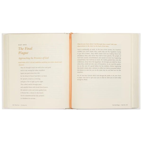 Beyond Egypt - 7 wk Bible Study - Image 6