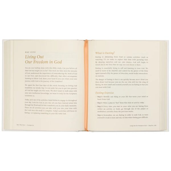 Beyond Egypt - 7 wk Bible Study - Image 8