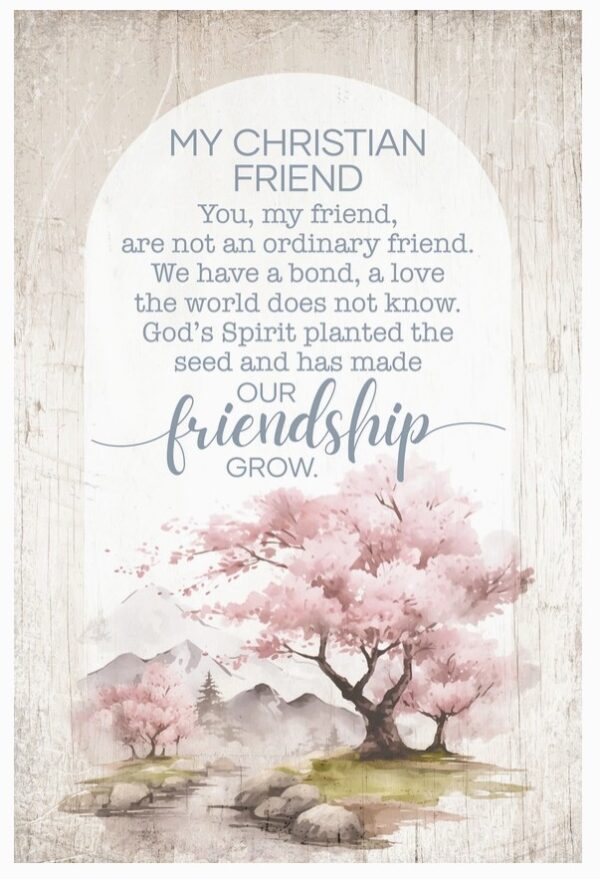 My Christian Friend - Mini Blessings 4X6