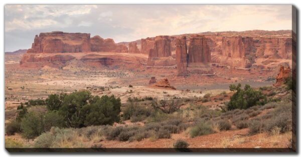 Dusty Desert 20"x40"