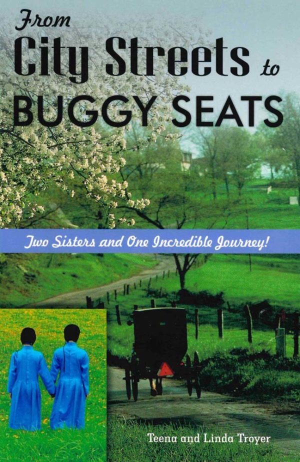 From City Streets to Buggy Seats - No Longer Available