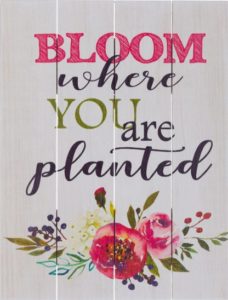 Image of Pallet Art Bloom Where You Are 9×12