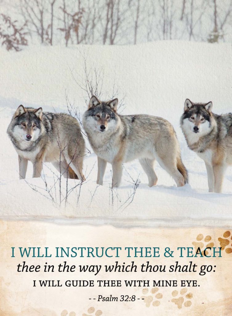 Image of Handy Tablet: Wolves- Discontinued