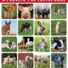 Stickers Farm Animals 40pk