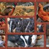 Farmyard Friends - Easy Handling 275 pc Puzzle - Image 2