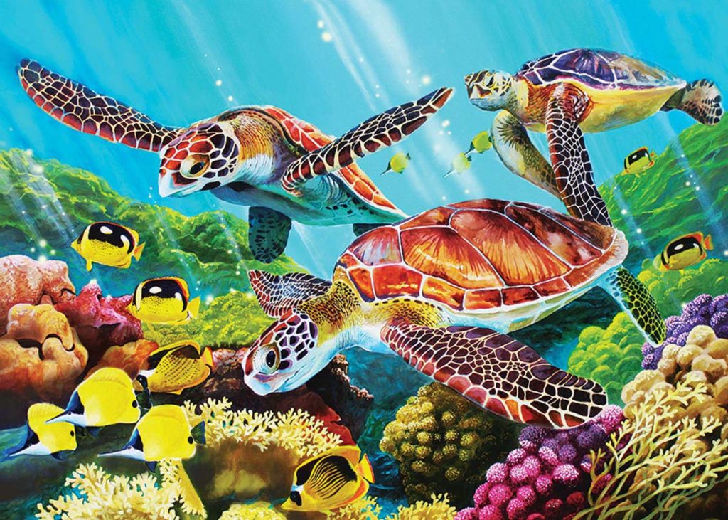 Image of Puzzle Tray Molokini Sea 35 pc