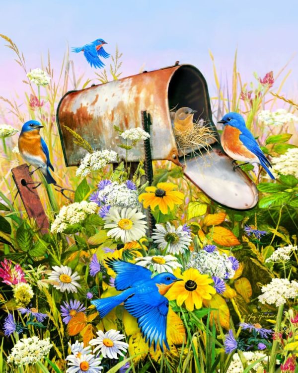 Puzzle Blue Birds and Mailbox 500 pc