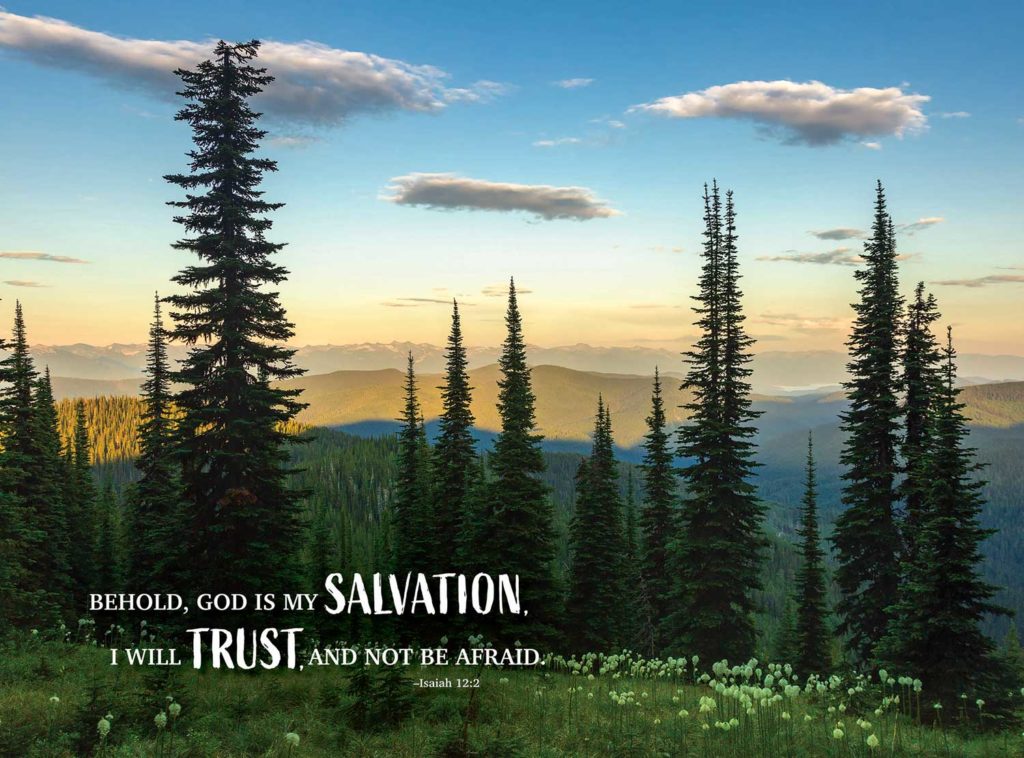 Image of Puzzle Salvation and Trust 1000 Pc.