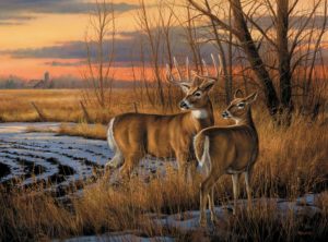 Image of Puzzle Daybreak 1000 Pc.