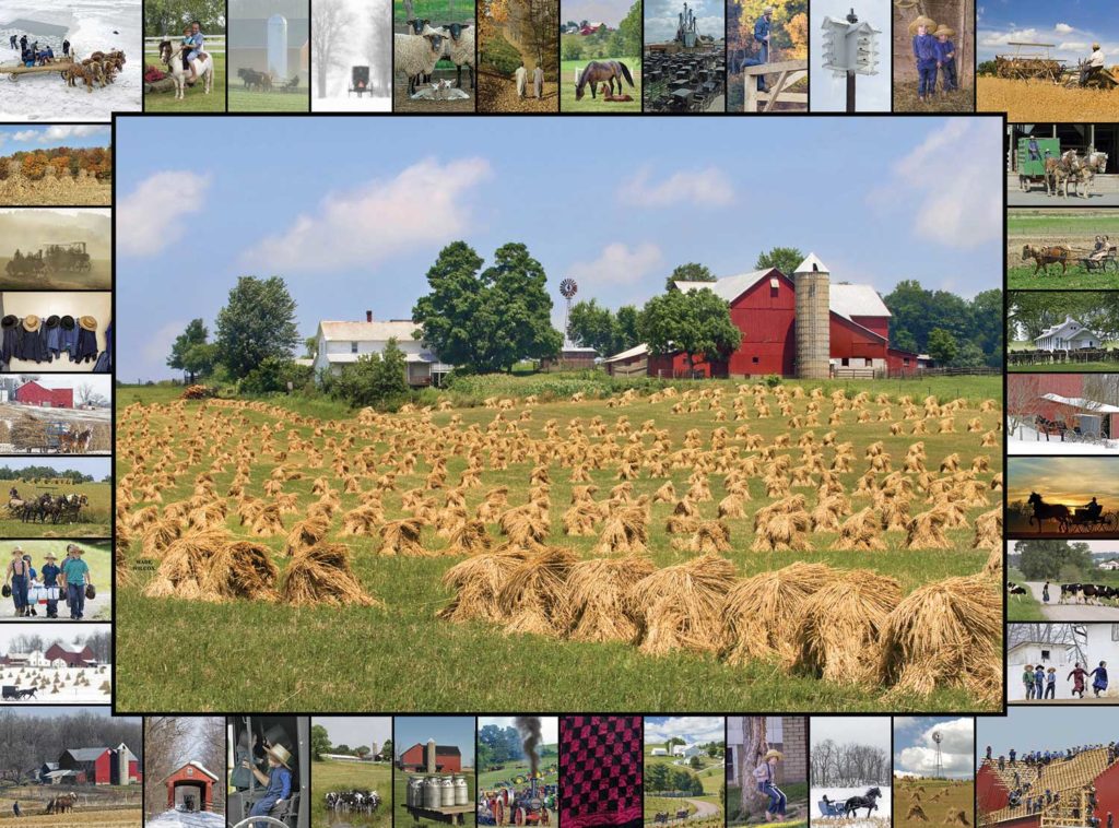 Image of Puzzle Golden Grain 1000 Pc.