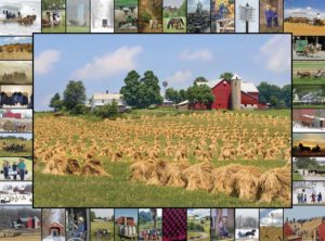 Image of Puzzle Golden Grain 1000 Pc.