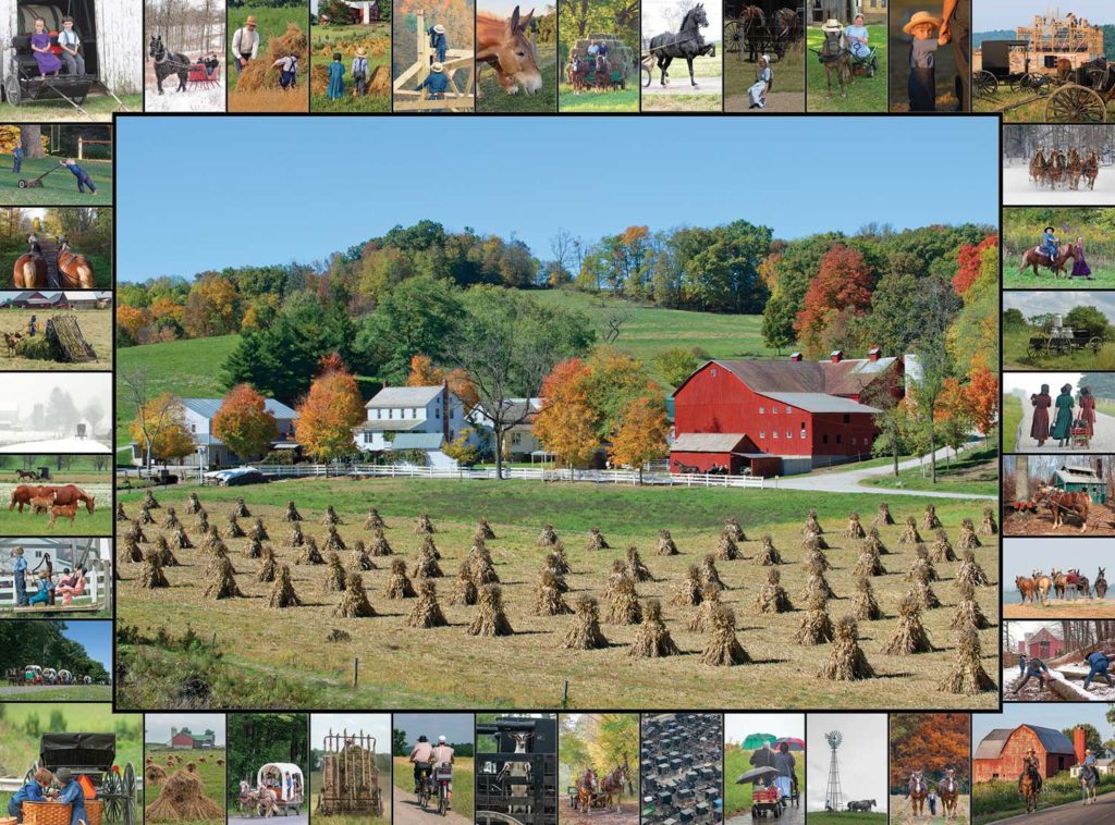 Image of Puzzle Harvest Season 1000 Pc.