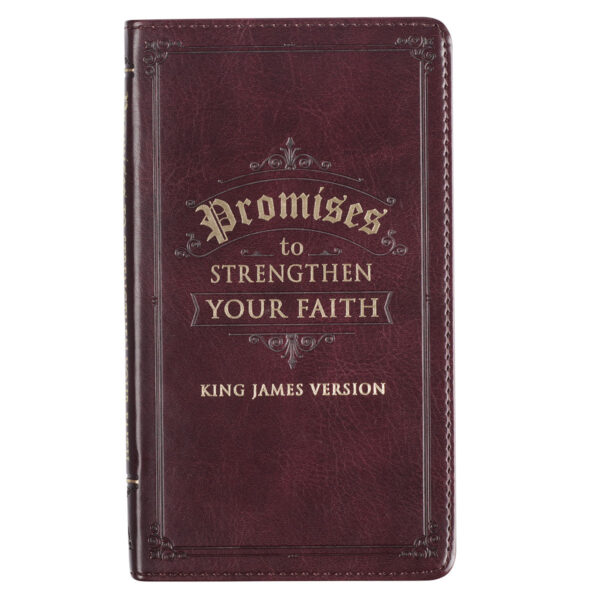 Promises to Strengthen Your Faith Brown Faux Leather Gift Book 119 0146 0