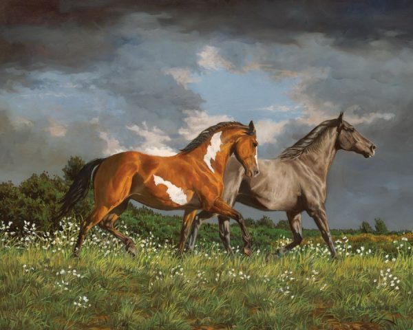 Puzzle Across Heaven 50 pc.- Discontinued