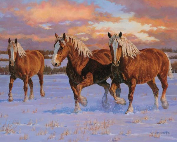 Puzzle Winter Gold 50 pc.- Discontinued