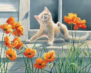 Image of Puzzle Kitten & Poppies 50 pc.- Discontinued