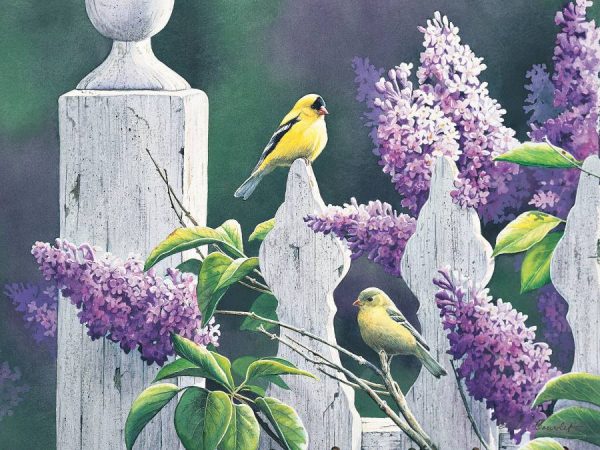 Puzzle Summer Lilacs 500 pc.- Discontinued