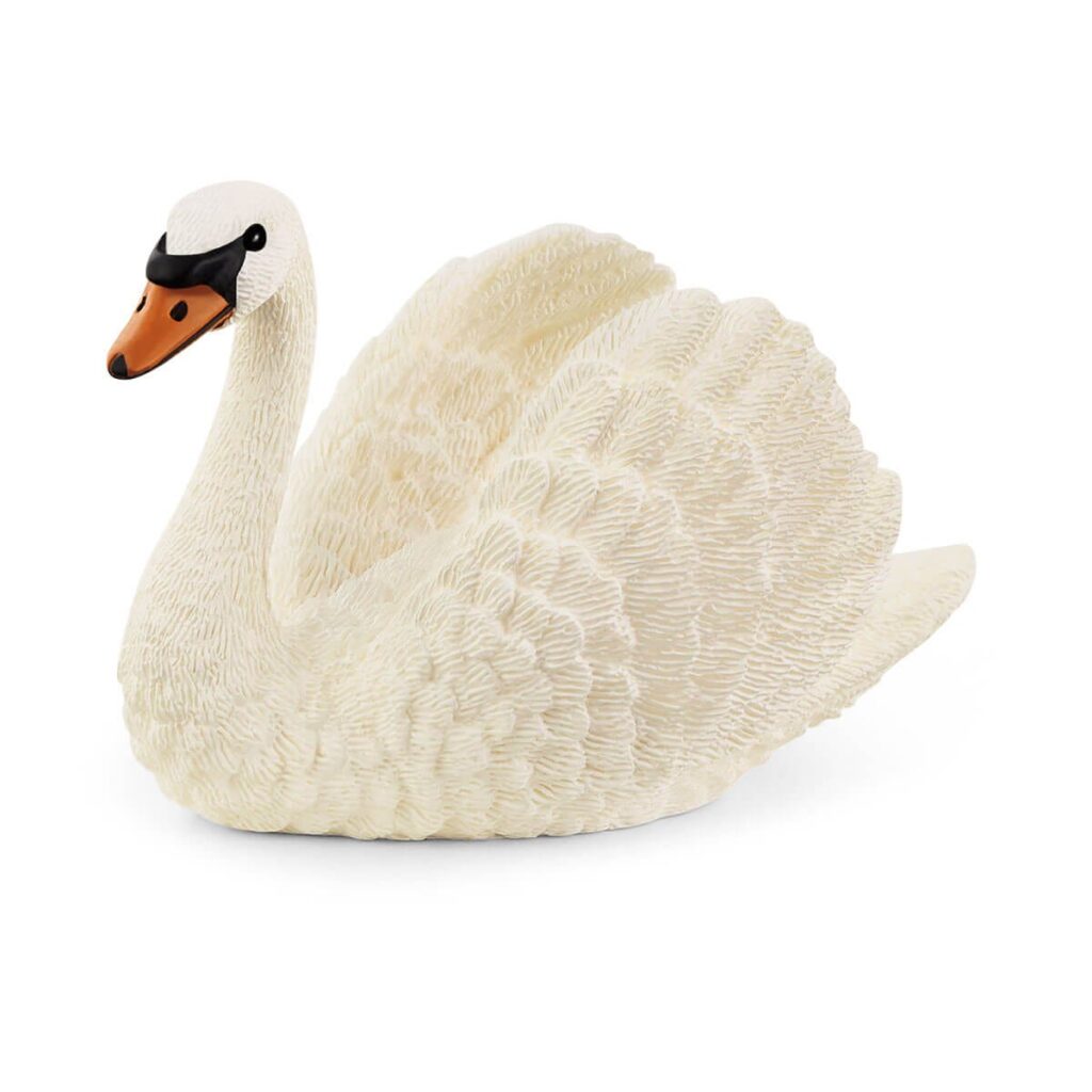 Image of Swan