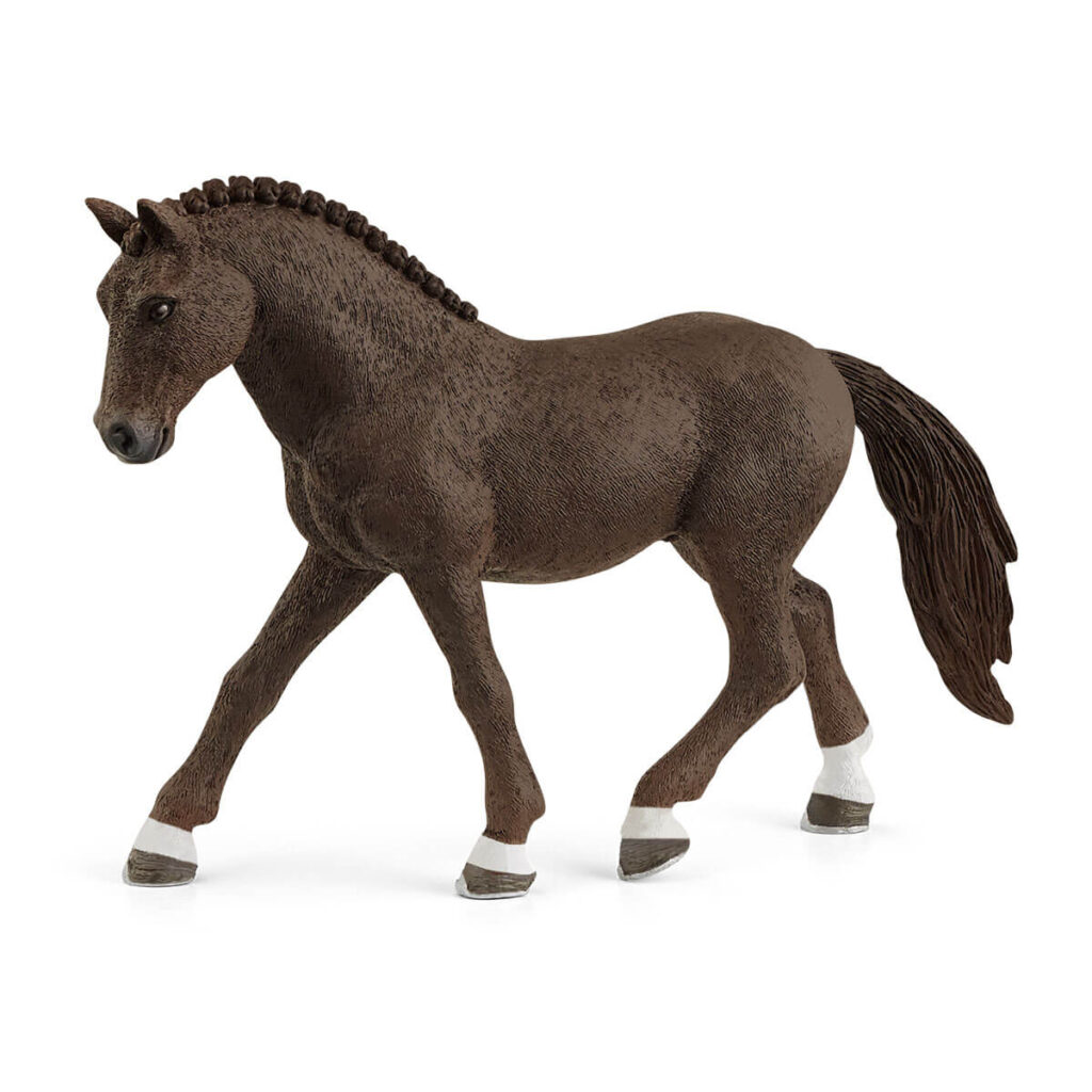 Image of German Riding Pony Gelding