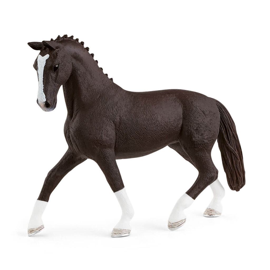 Image of Black Hanoverian Mare