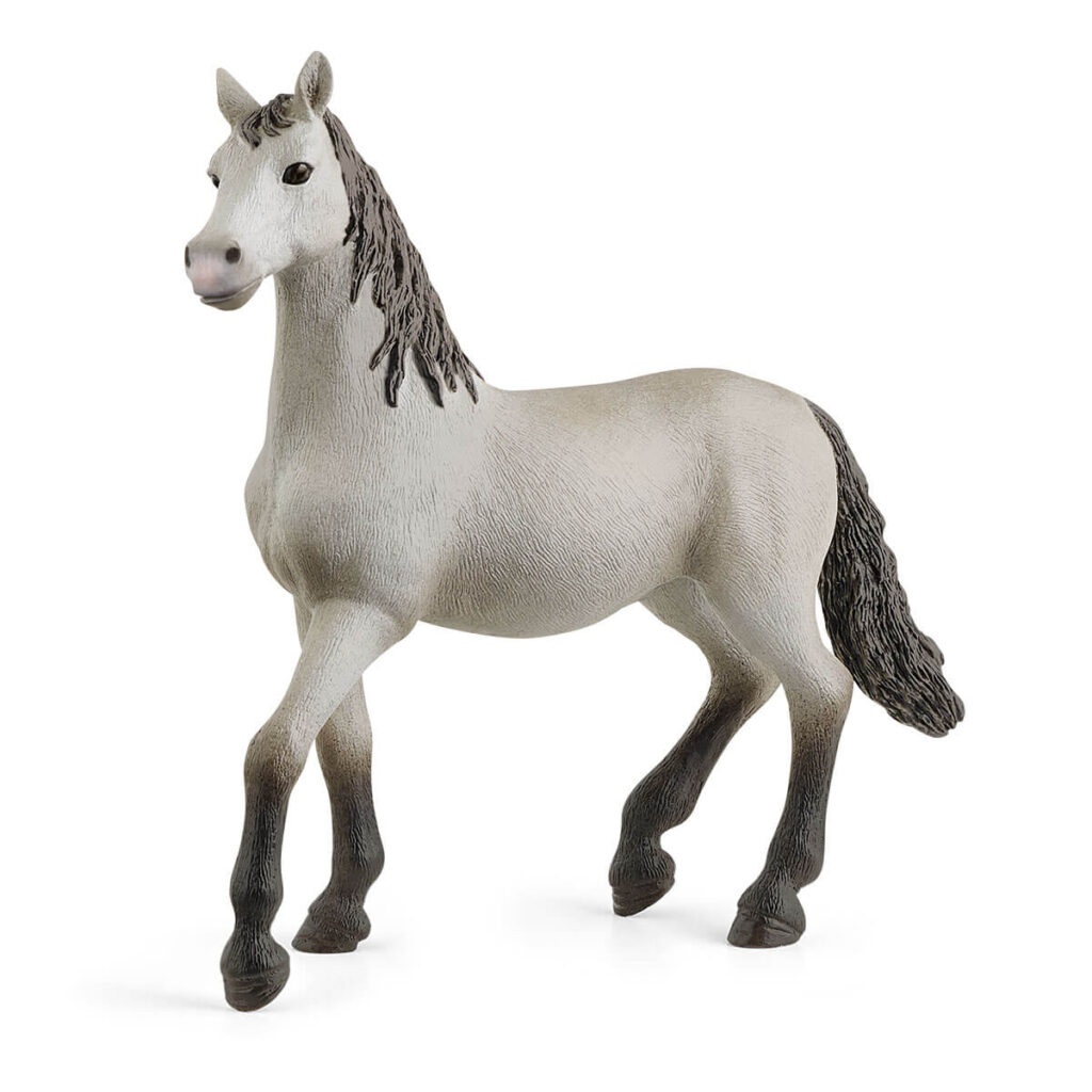 Image of Pura Raza Española Young Horse