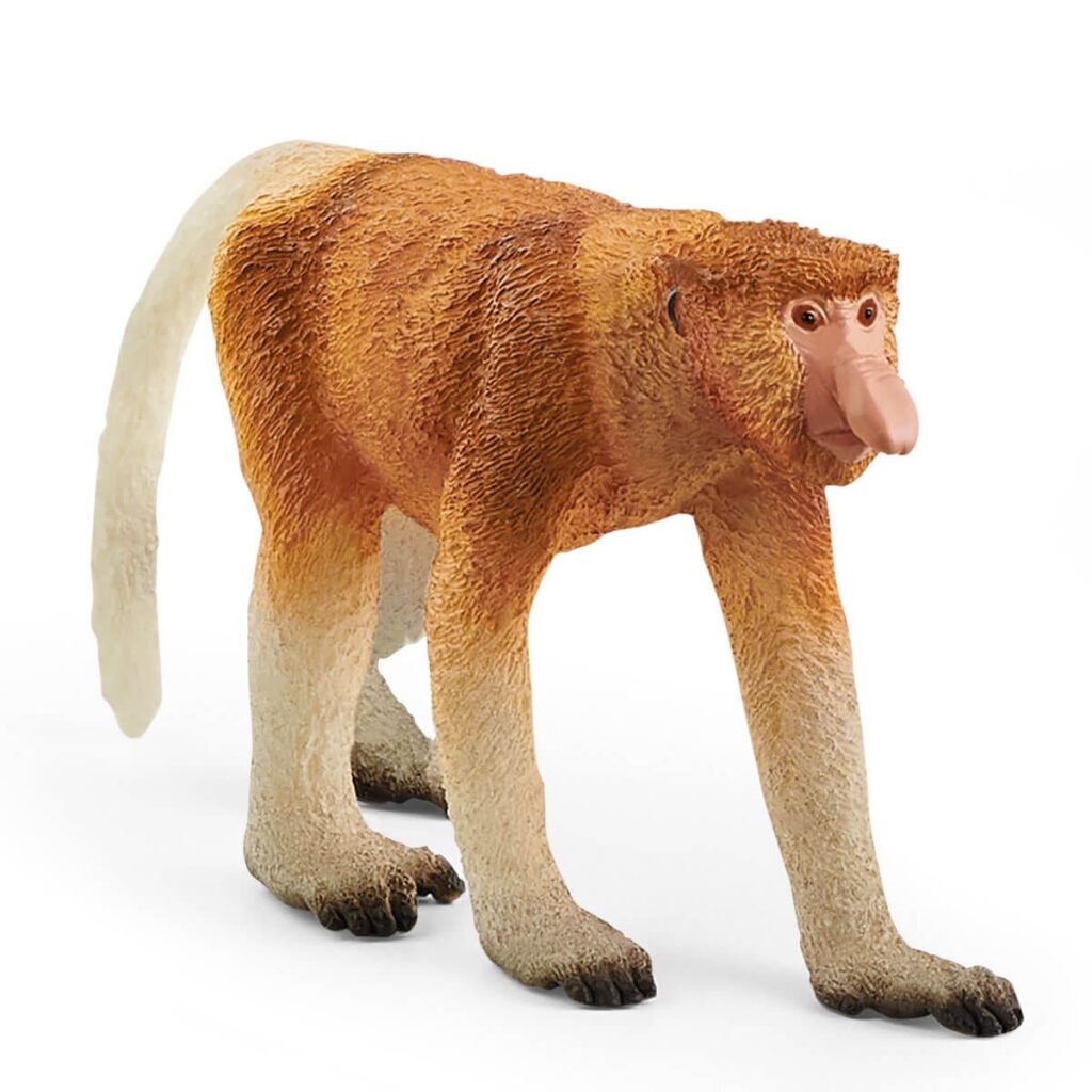 Image of Proboscis Monkey