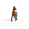 Oldenburger Mare - Image 3