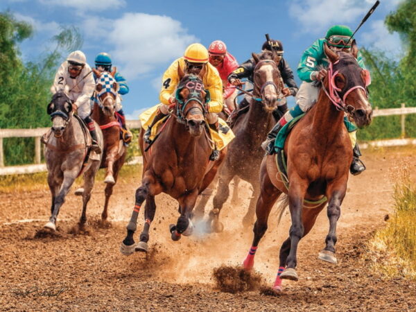 Puzzle Vintage Horse Racing 00441