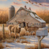 Rural Route Puzzle 1000 pc