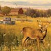 Puzzle Deer Field 500 pc